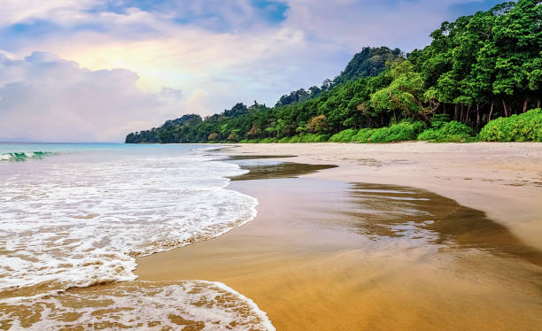 Andaman Tour Packages