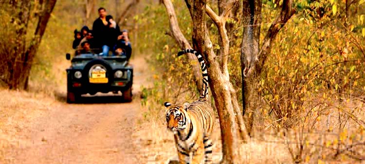Rajasthan Tour Packages