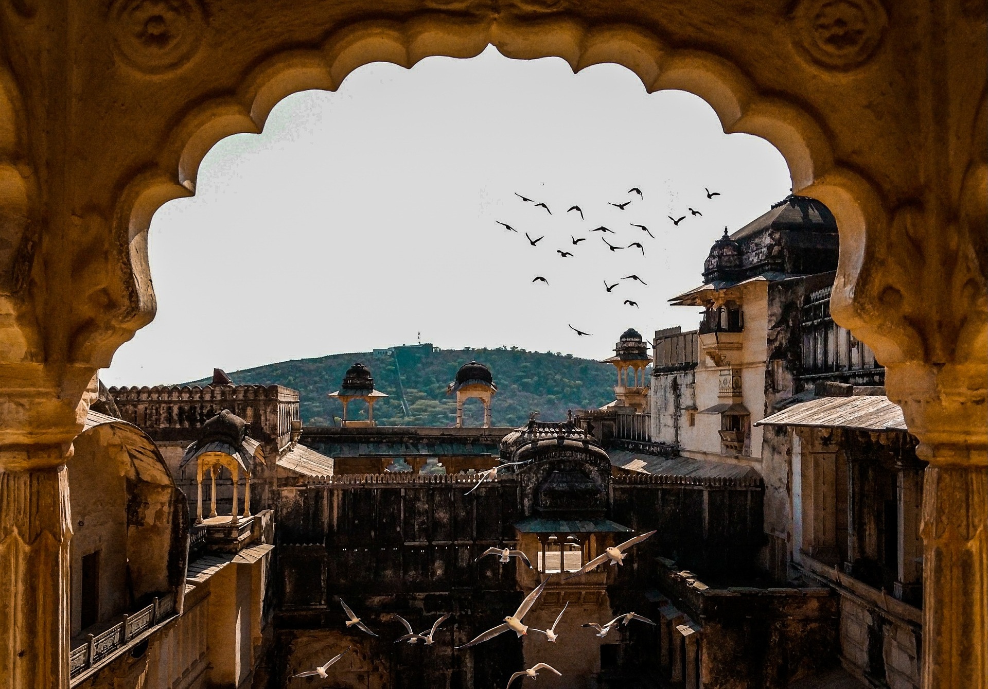 Rajasthan Tour Packages