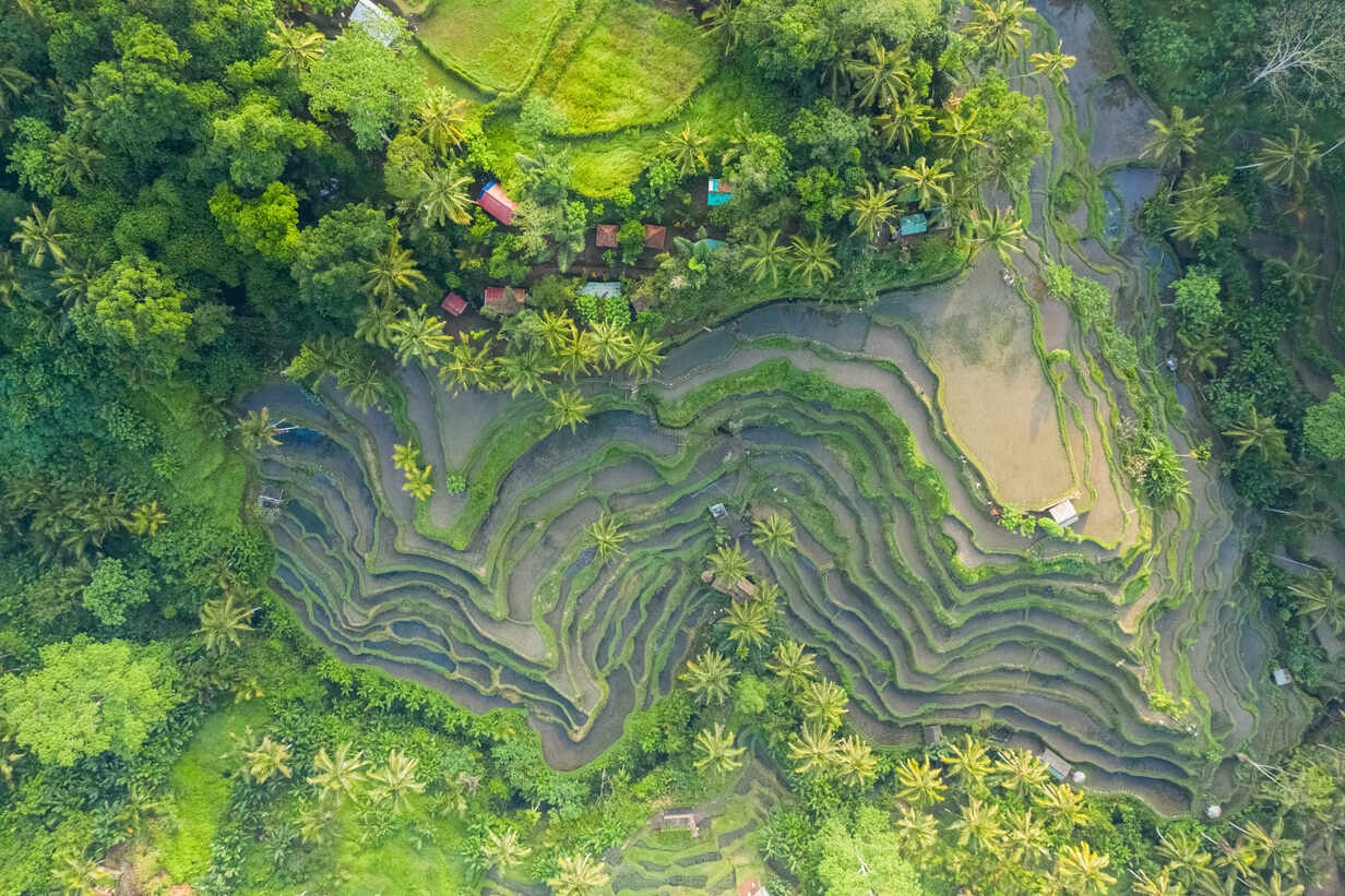 Bali Honeymoon Packages