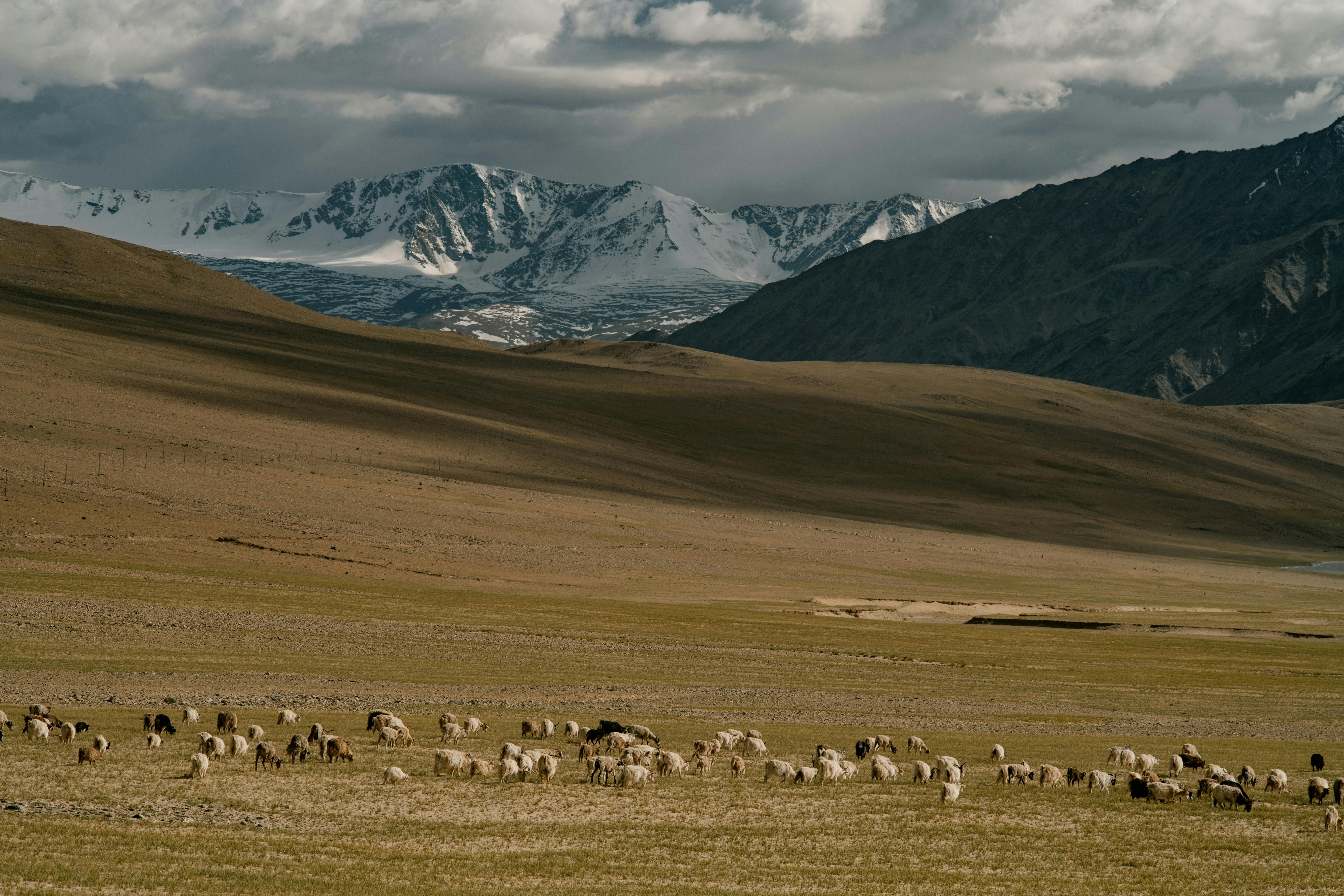 Leh Ladakh Bike Trip