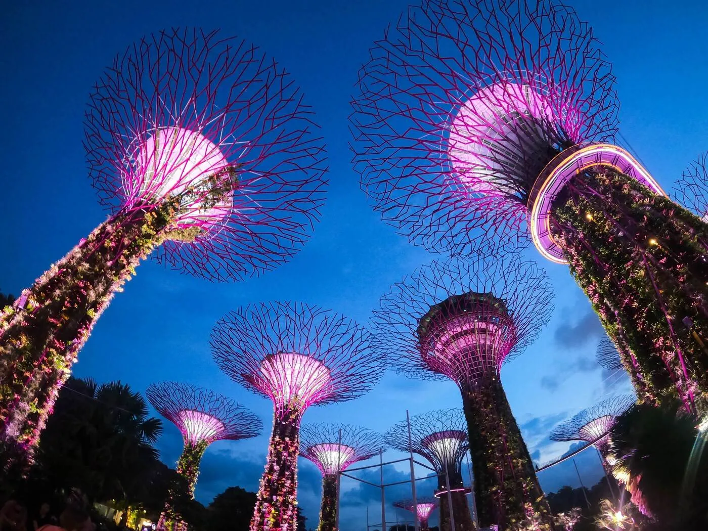 Singapore Tour Packages