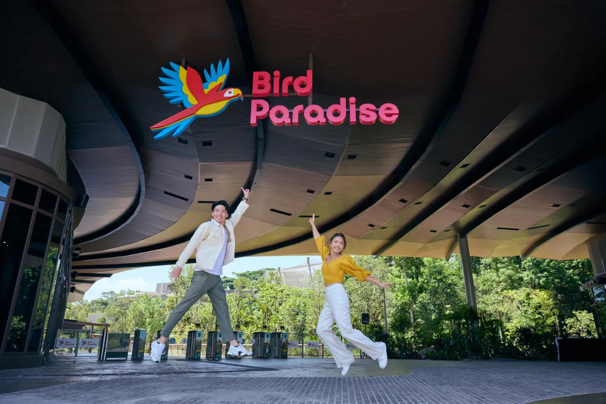 Singapore Tour Packages