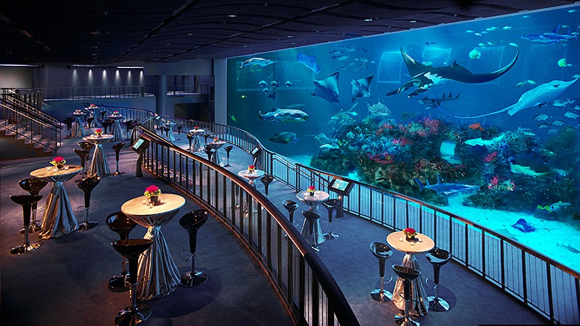 Singapore Tour Packages from Ahmedabad 