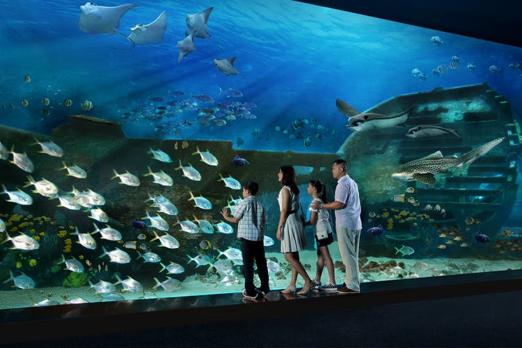 Singapore Tour Packages from Ahmedabad 