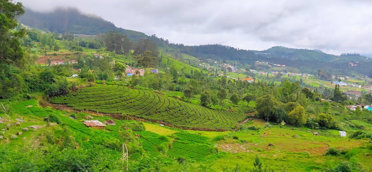 Ooty Tour Packages
