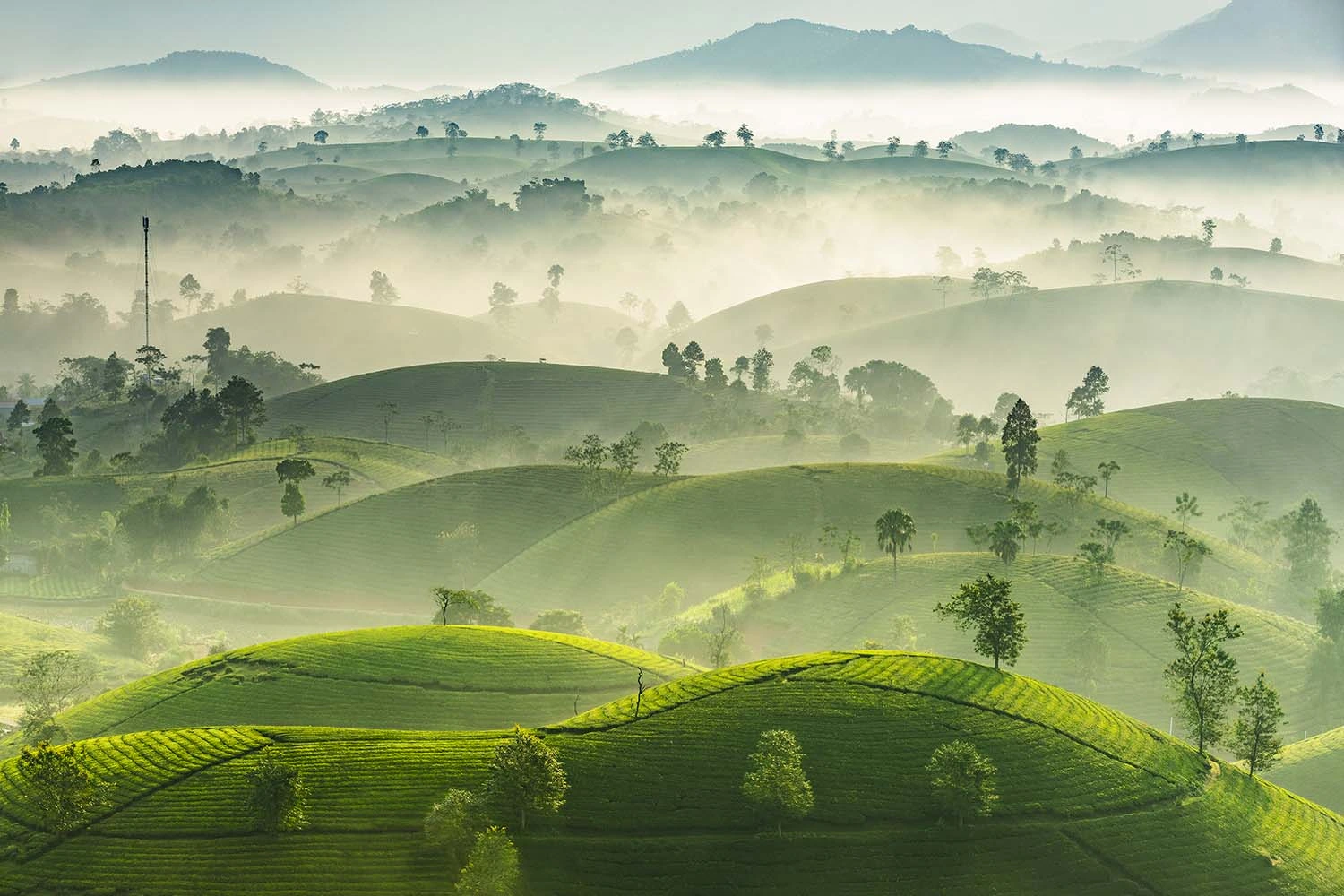 Vietnam Tour Packages From Bangalore