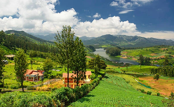 Ooty Tour Packages