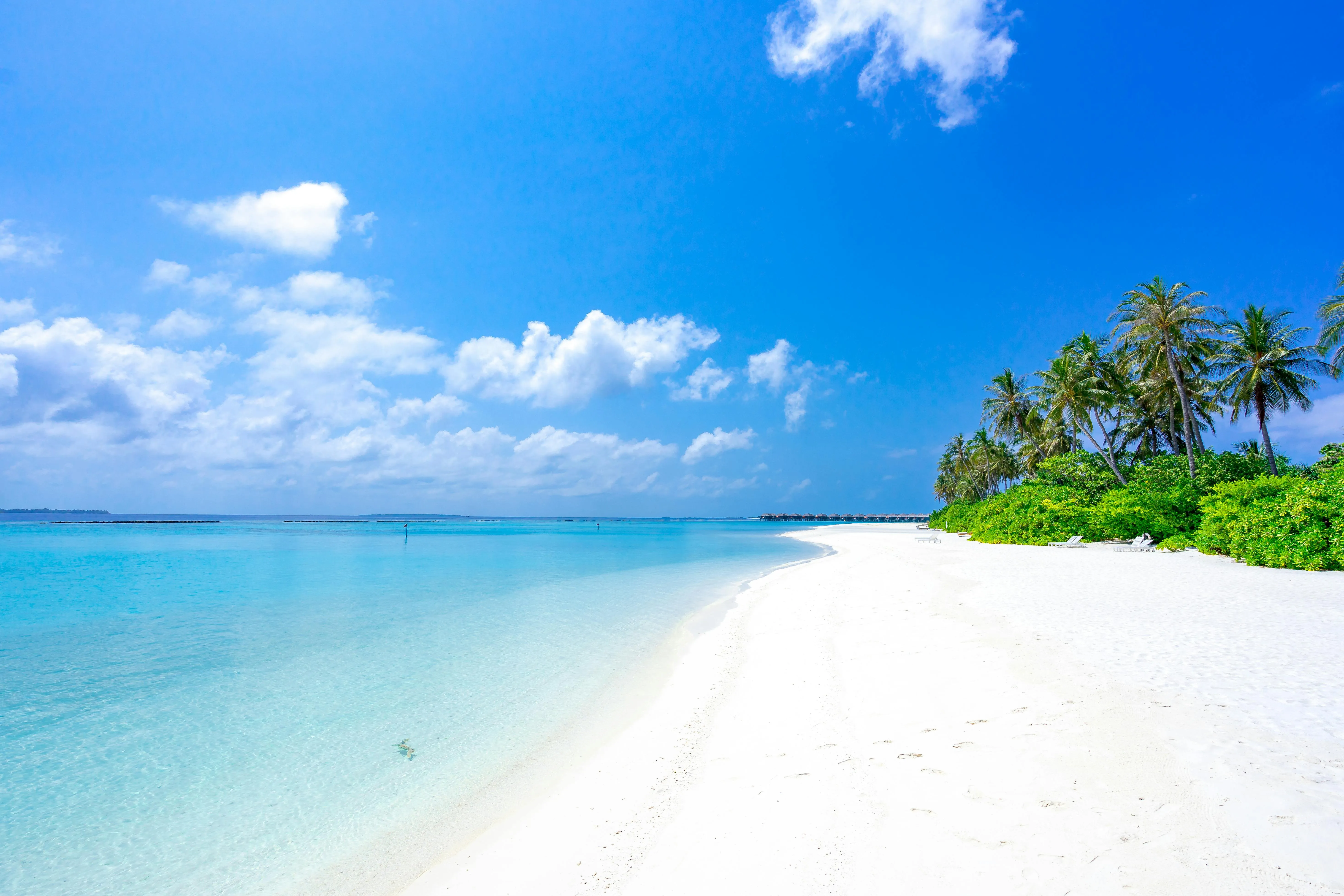 Luxury International Tour Packages