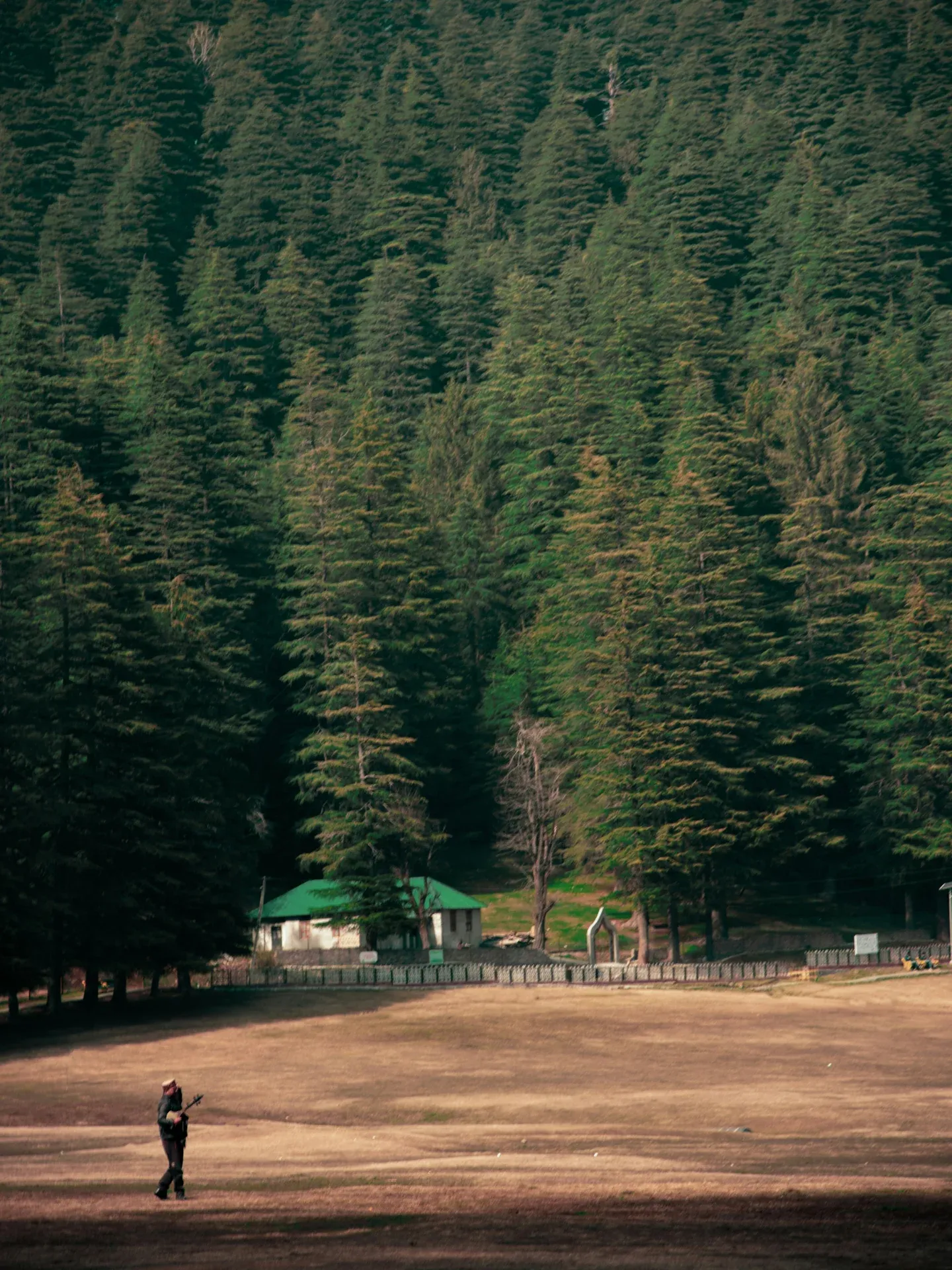Himachal Pradesh Tour Packages