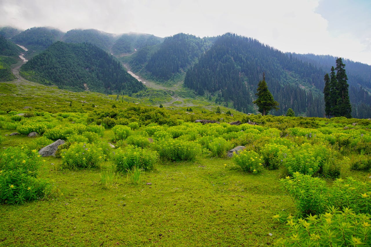 Kashmir Tour Packages from Kerala