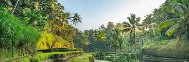 Honeymoon Tour Packages from Faridabad