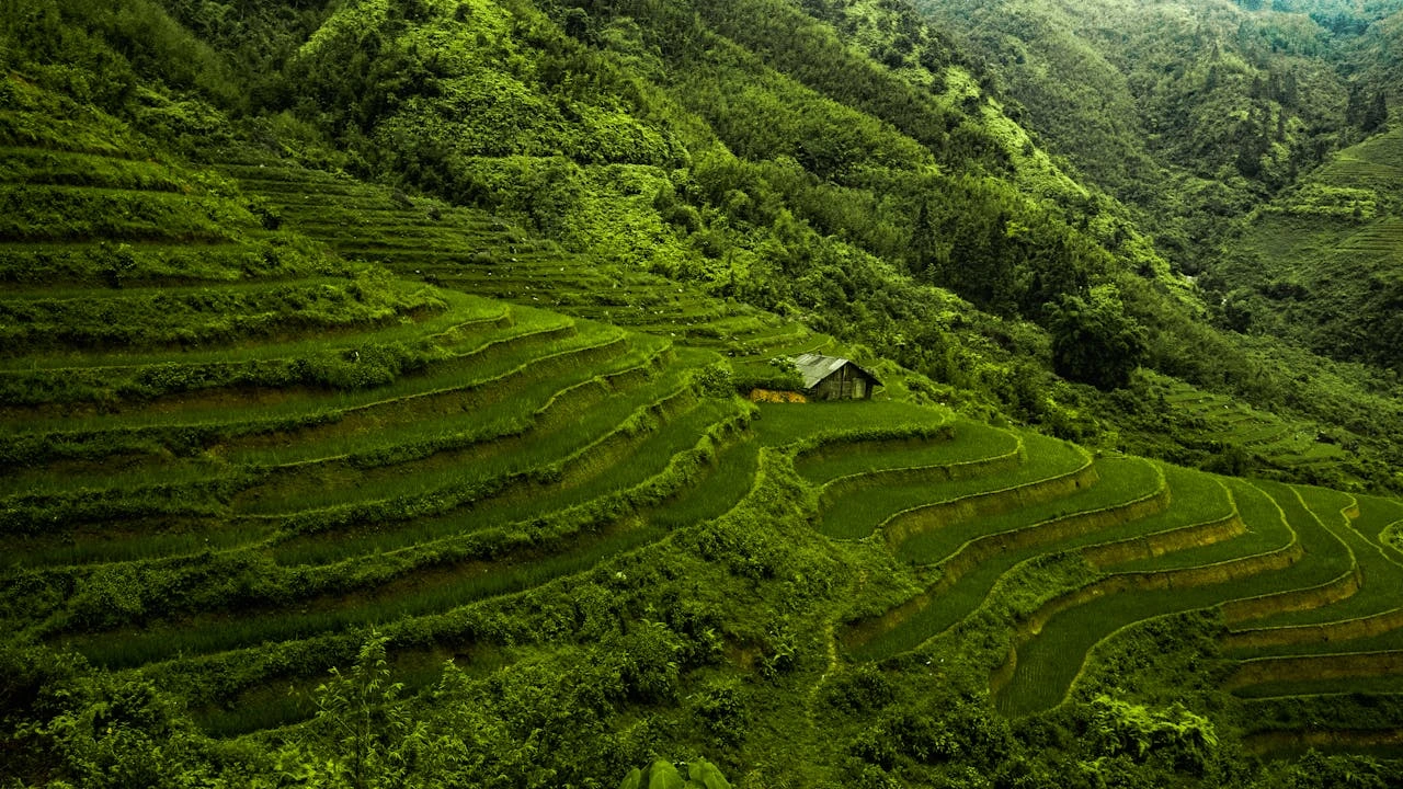 Vietnam Tour Packages From Faridabad