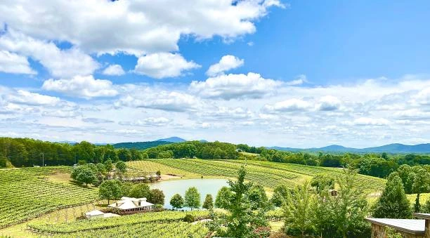 Georgia Tour Packages From Delhi