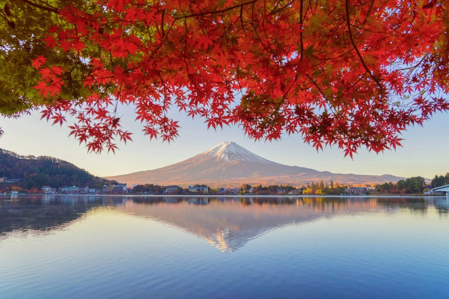 Japan Tour Packages from Bangalore