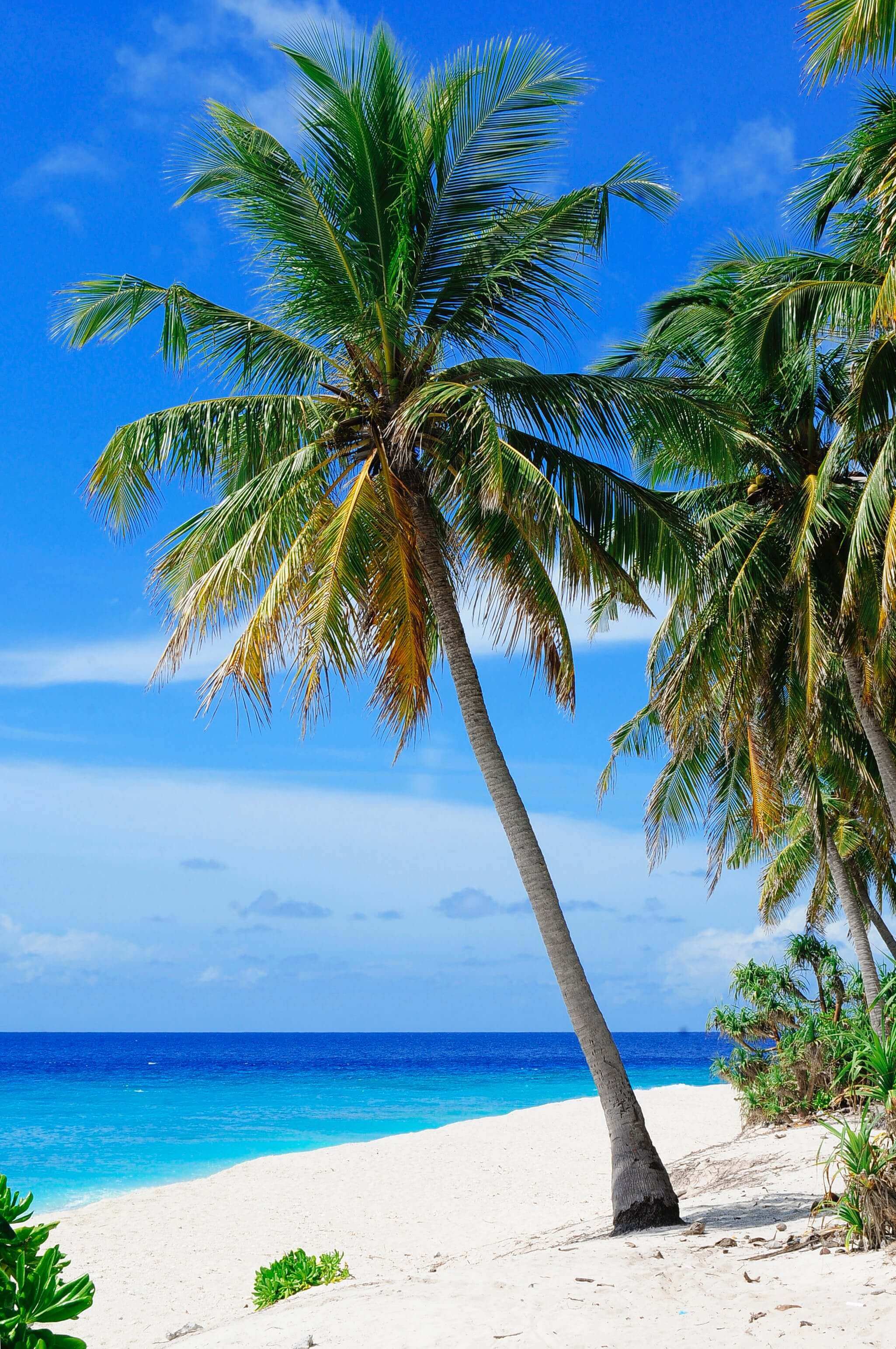 Mesmerizing Goa - Dream Travel Yaari® (a unit of DTYHOLIDAYS LLP)
