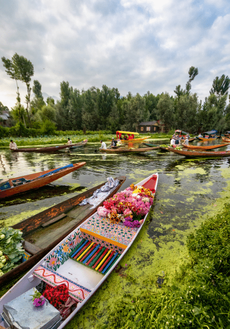 Kashmir - Dream Travel Yaari® (a unit of DTYHOLIDAYS LLP)