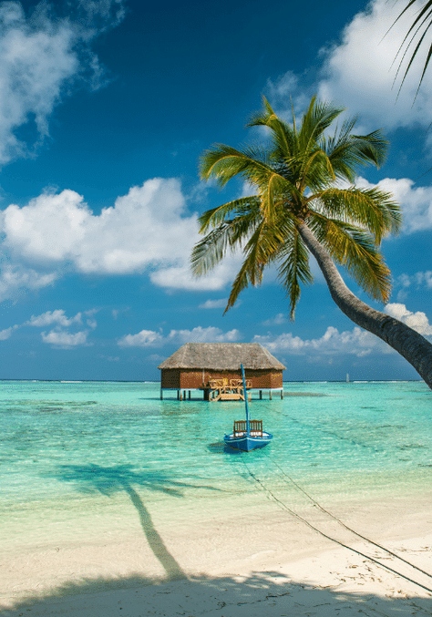 Maldives - Dream Travel Yaari® (a unit of DTYHOLIDAYS LLP)