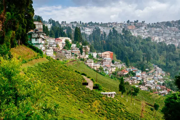 Darjeeling Tour Packages