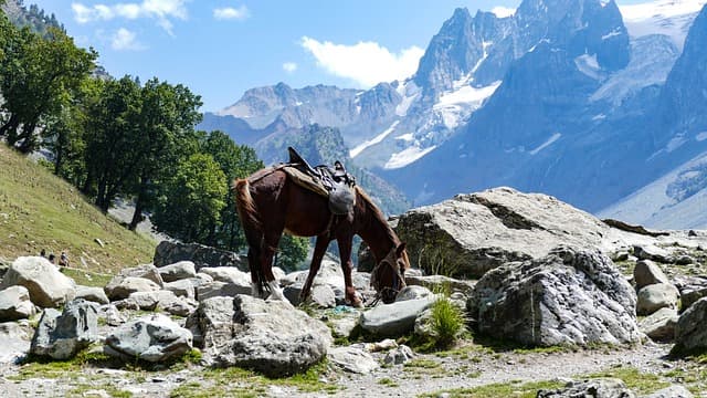 Amazing Kashmir 3 Nights