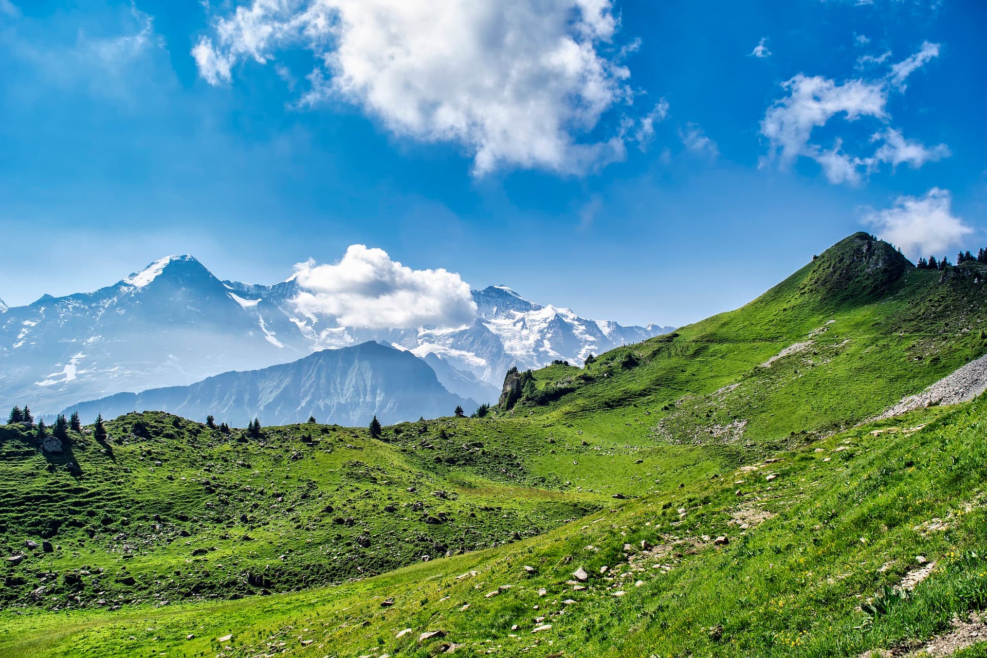 5 Nights 6 Days Kashmir Trip