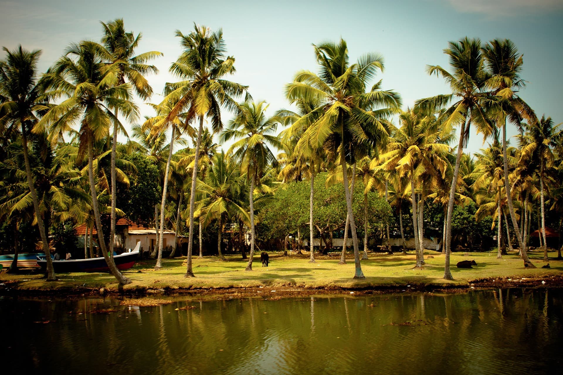 5 Nights 6 Days Kerala Munnar Trip