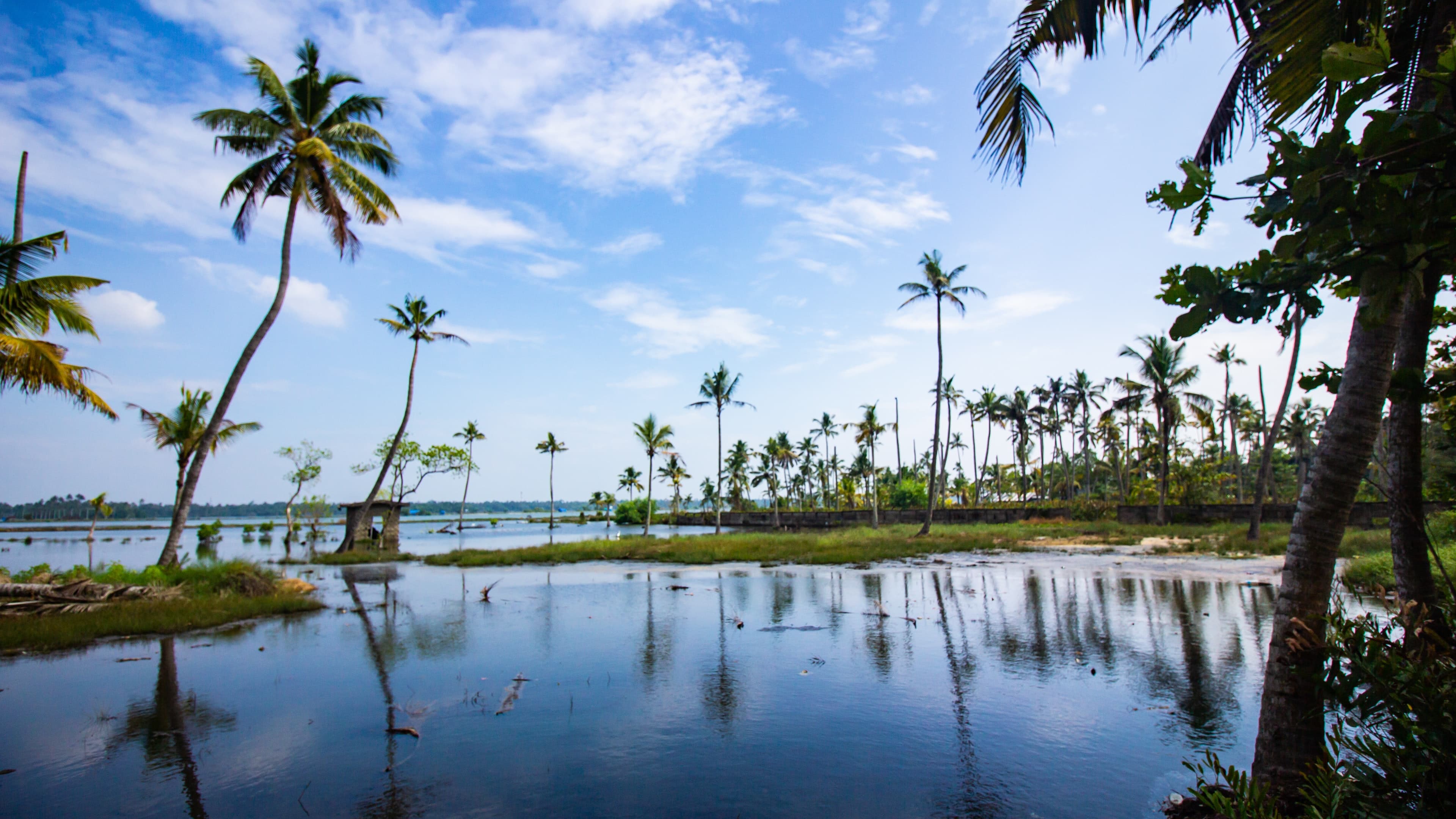 3 Nights 4 Days Kerala Munnar Tour Package