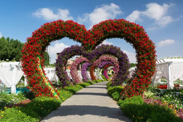 Dubai Fully Loaded Tour with Miracle Garden & Global Village