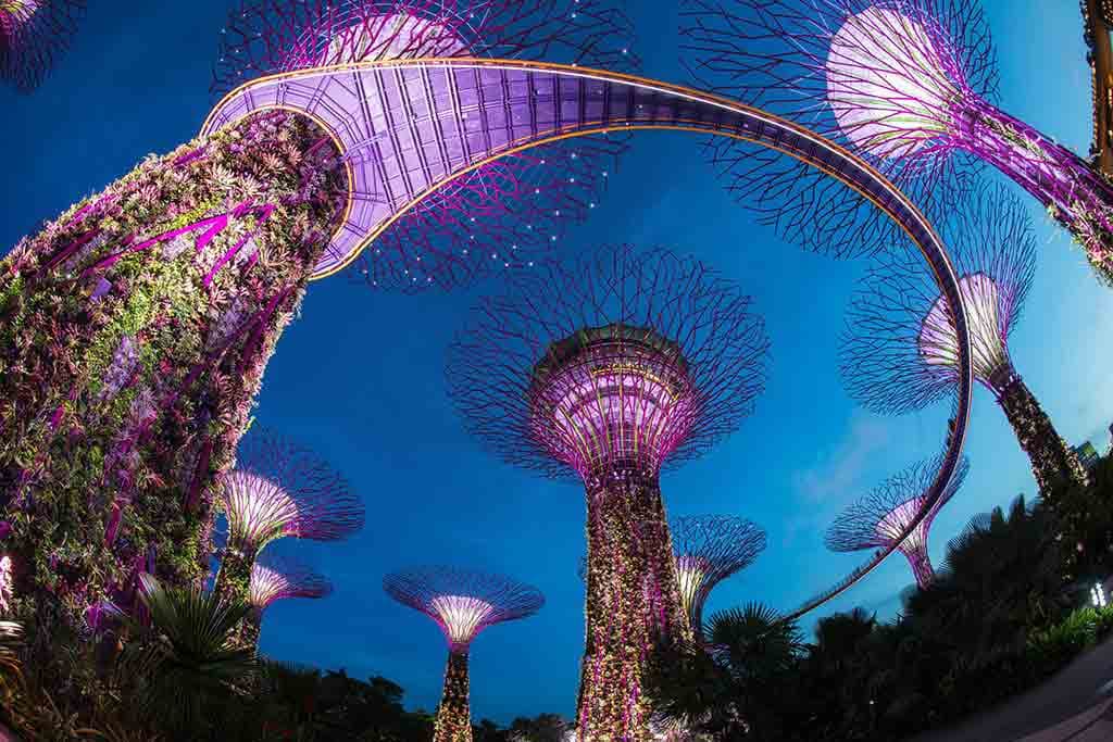 Explore Singapore with Free Gardens By The Bay