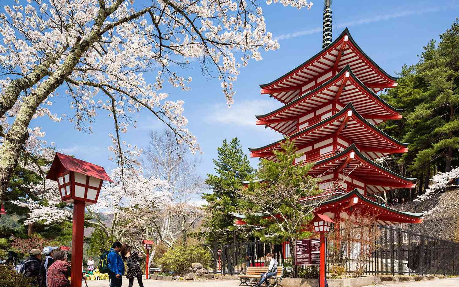Japan Journey 5 Night 6 Days