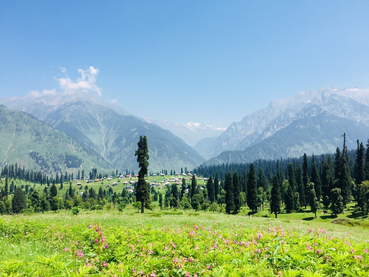 New Year in Wadiye Kashmir