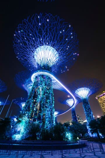 Explore Singapore From Bangalore