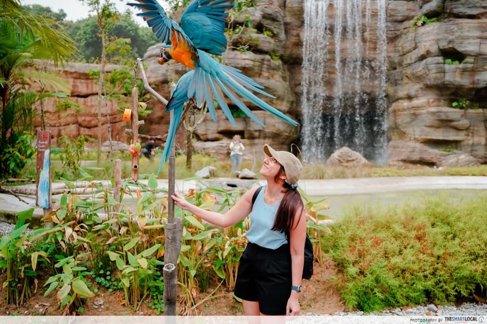 Fantastic 4 Nights Singapore Vacation Package from Mumbai