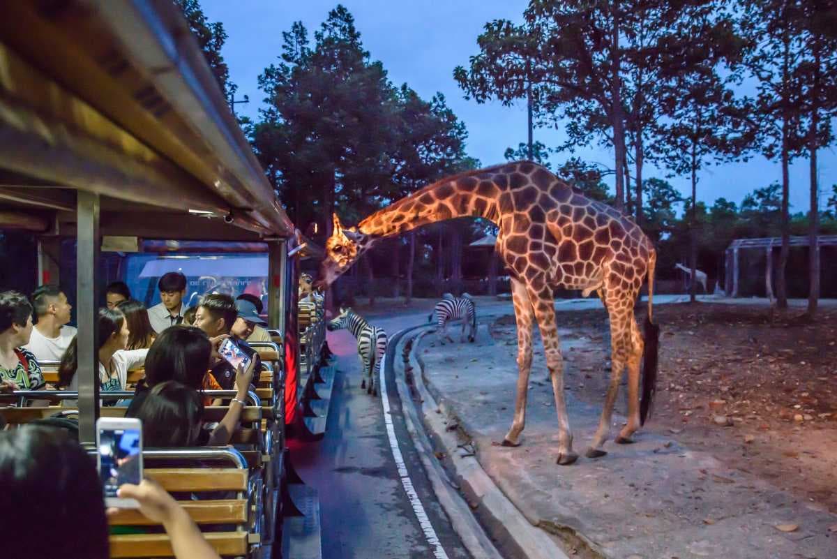 Discover Singapore Wild life Safari with free Sea Aquarium Tickets from Mumbai