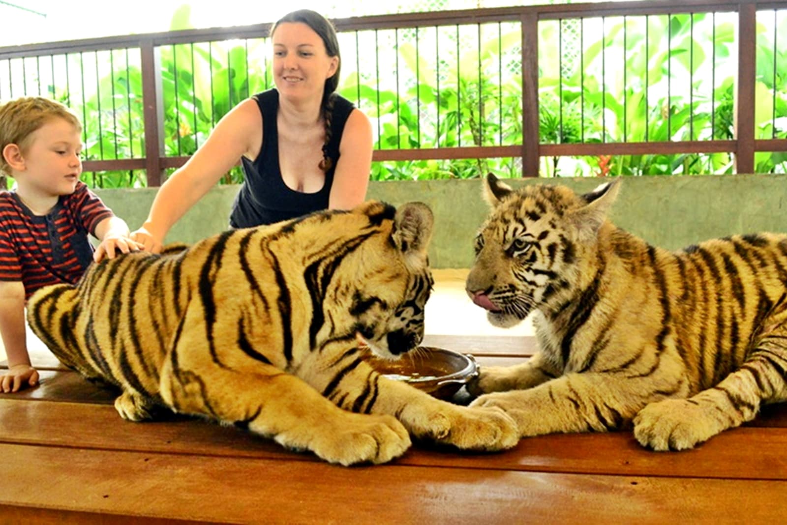 Phuket Krabi with Tiger Kingdom Tour Package from Delhi