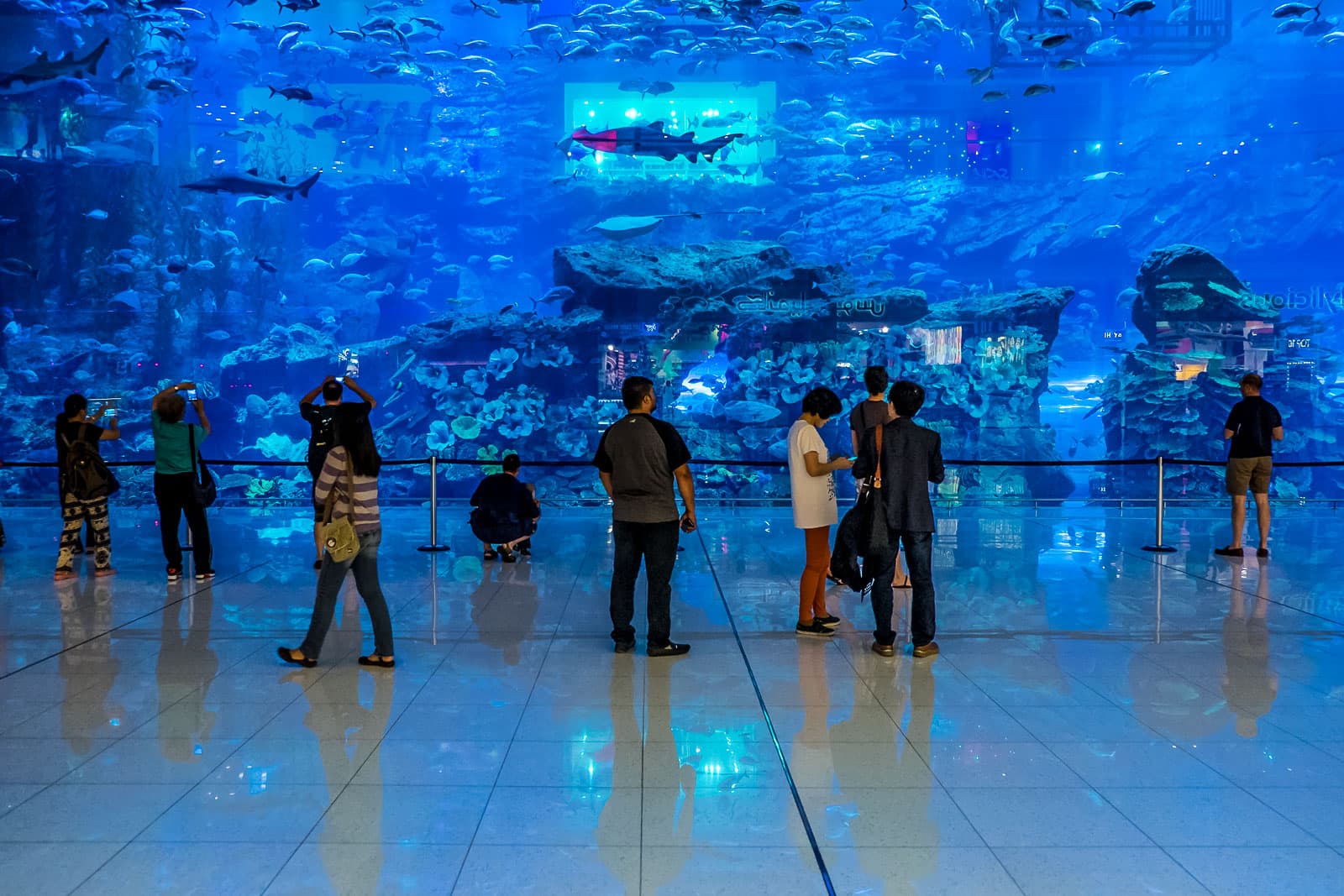 Dubai with Underwater Zoo Trip from Mumbai