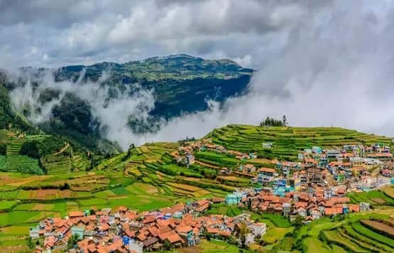 4 Nights 5 Days Ooty and Mysore Tour Package