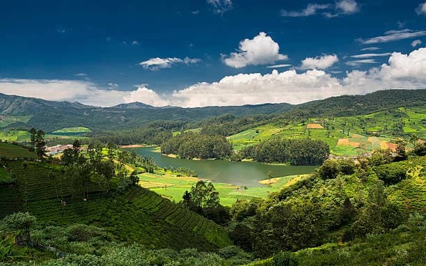 4N 5D Ooty Bliss Getaway Tour Package from Comibatore