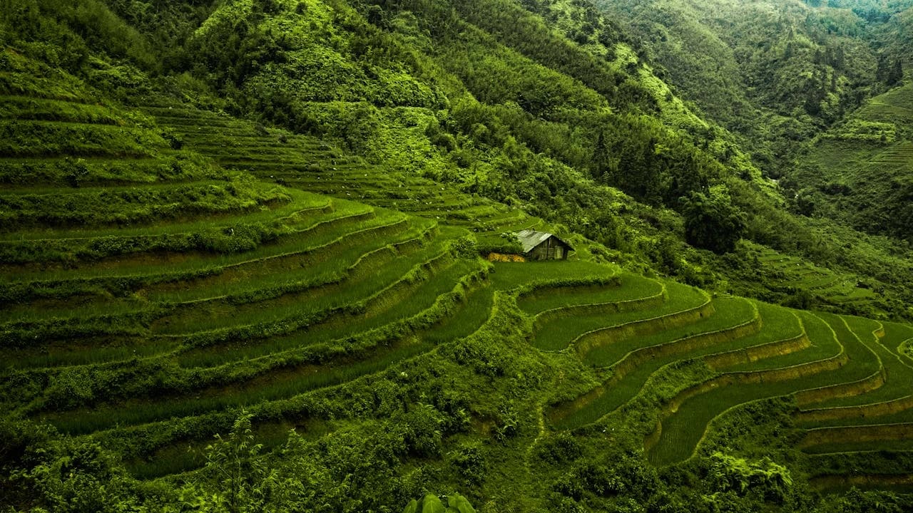 5 Nights 6 Days Vietnam tour Package from Kochi