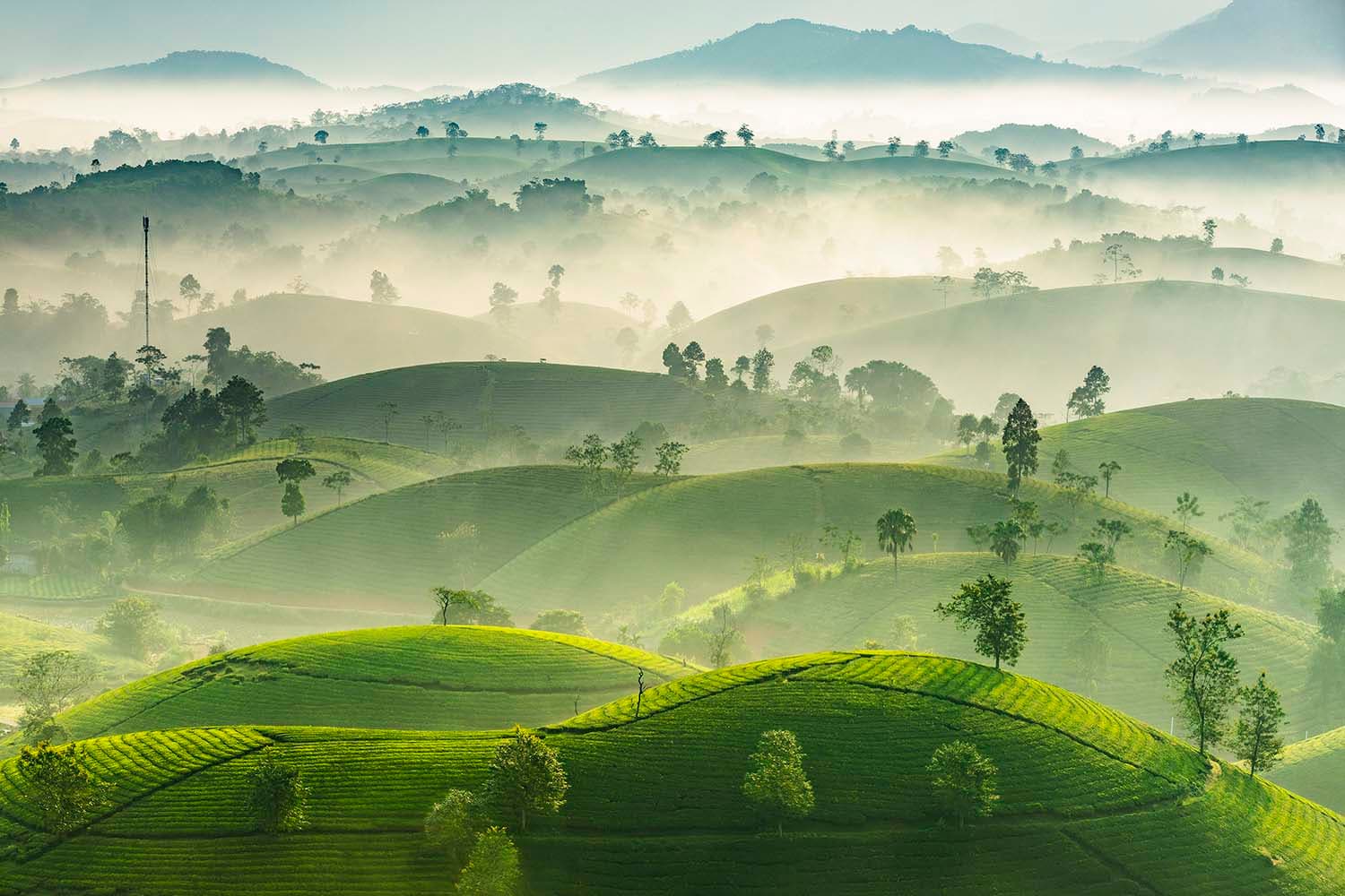 4 Nights 5 Days Vietnam Hanoi Tour Package From Delhi