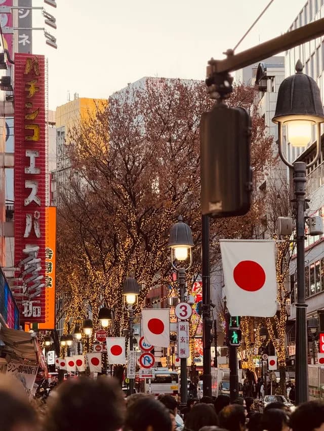 Enchanting Japan 6N 7D Tour Package