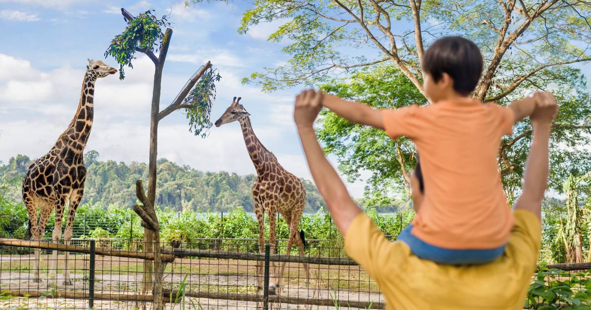 Singapore Zoo - Singapore Travel Packages from Pune