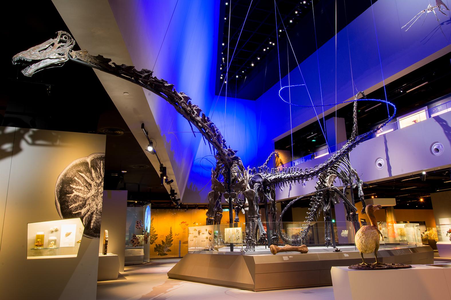 NUS Museum - Singapore Trip Packages from Hyderabad