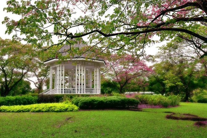 singapore botanic gardens - Singapore Package from Pune