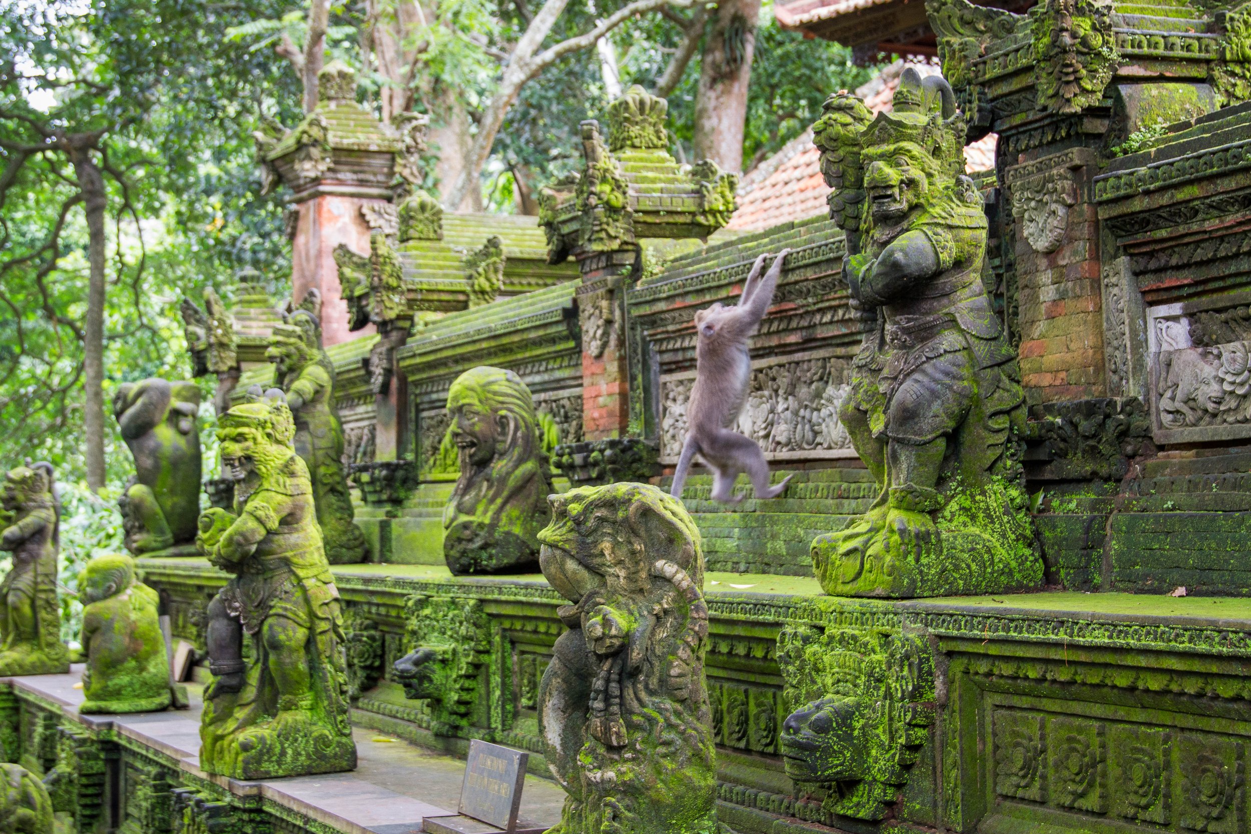 Sacred Monkey Forest Sanctuary - Bali Trip Packages from Vadodara 