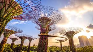 Gardens by the Bay in Singapore - Singapore travle packages from Surat