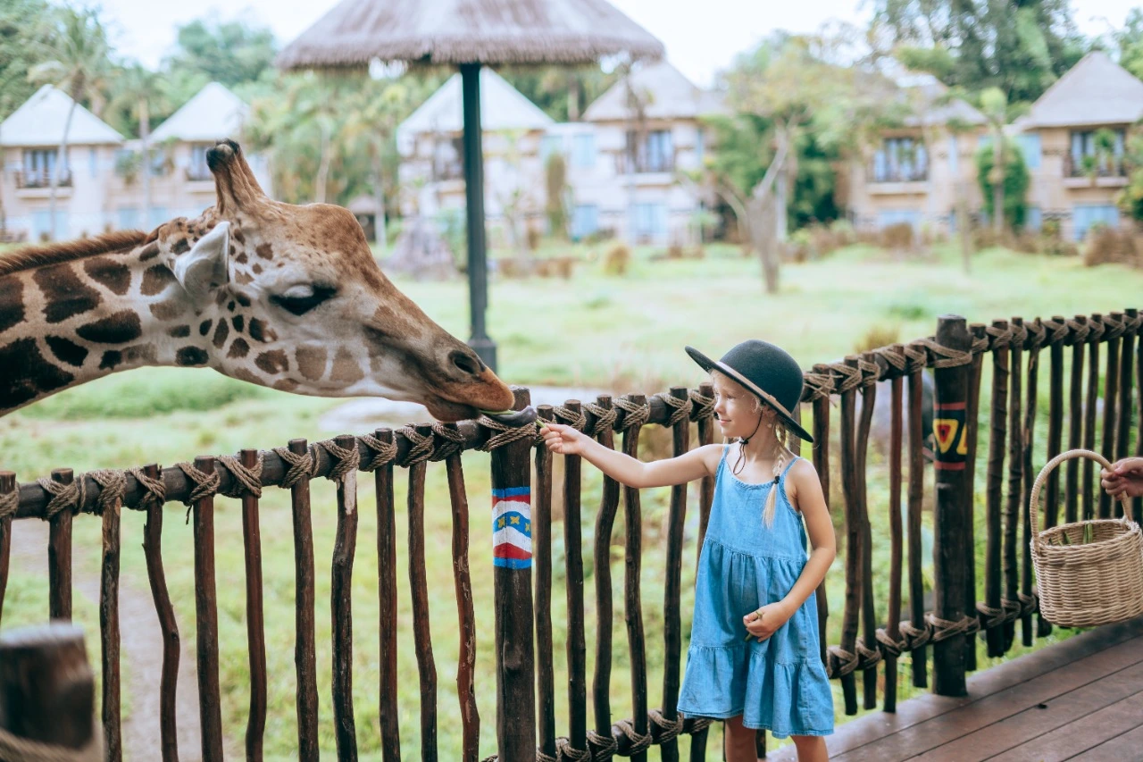 Bali Safari & Marine Park - Bali Vacation Packages from Kolkata