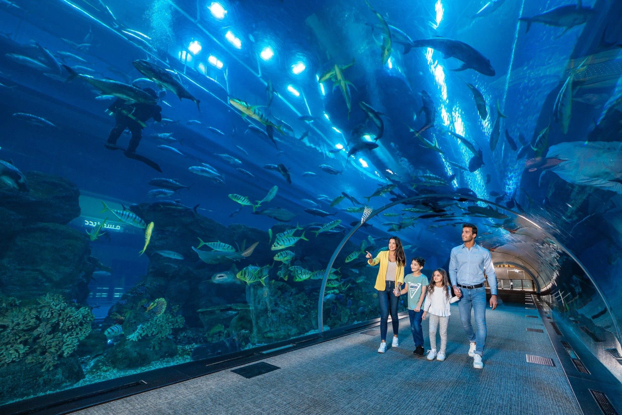 Dubai Aquarium & Underwater Zoo  - Dubai Tour Packages from Bangalore