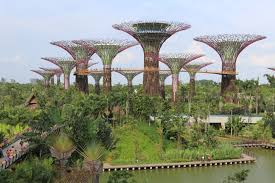 Gardens by the bay - Singapore trip packages from Trichy