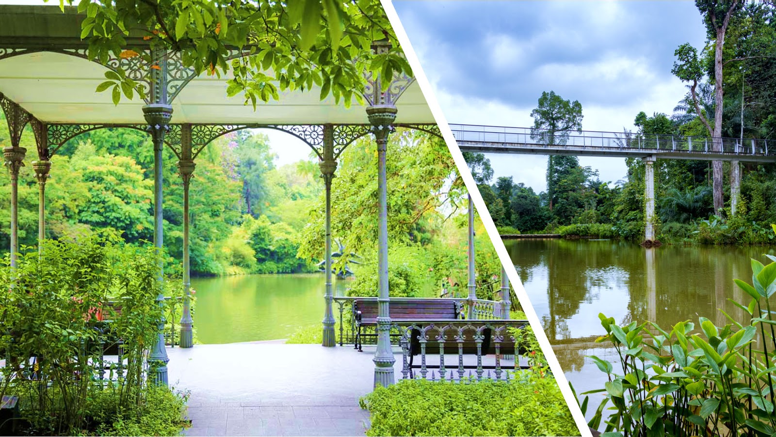 Singapore Botanic Gardens - Singapore Adventure Packages from Vadodara